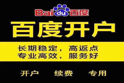 竞价排名案例：应对竞争对手策略